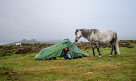 A horse greets a camper on Dartmoor