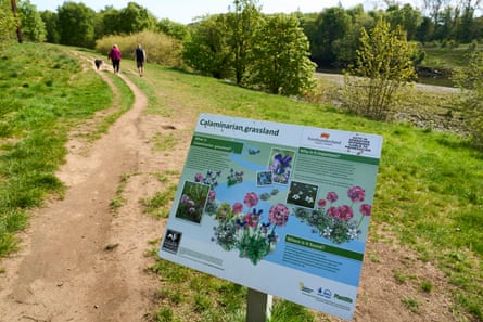 A sign beside a path, explaining the specific plants seen in calaminarian grasslands, with two walkers in the distance