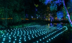 Faskally woods illuminated