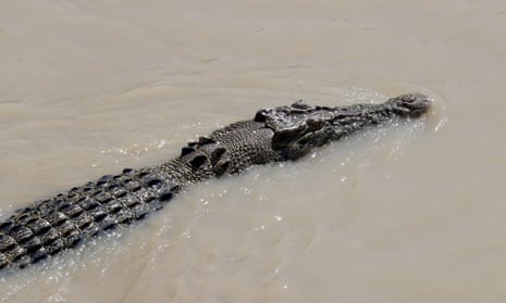 The public has been warned to expect crocodiles in northern Queensland waterways