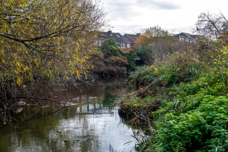 The Roding between Barking and Ilford … giving rivers a legal right to flourish is an idea taking root.