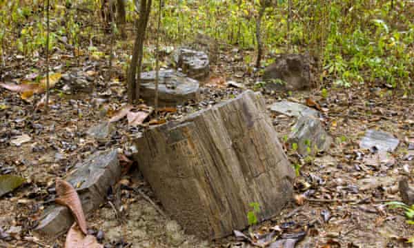 Top 10 Places To Visit On The Ecuador Coast Travel The Guardian