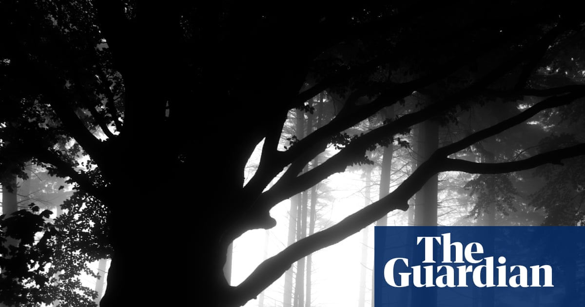 The best recent crime and thrillers review roundup