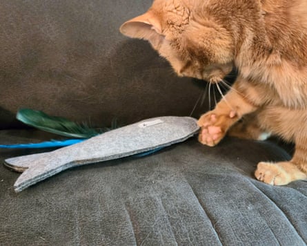 A cat playing with a Nooee Pet Felt Fish Kicker Toy