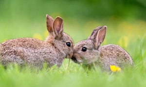 The Quiz Lifeandstyle The Guardian