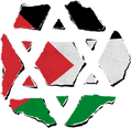 The star from the Israeli flag made from torn pieces of the Palestinian flag.