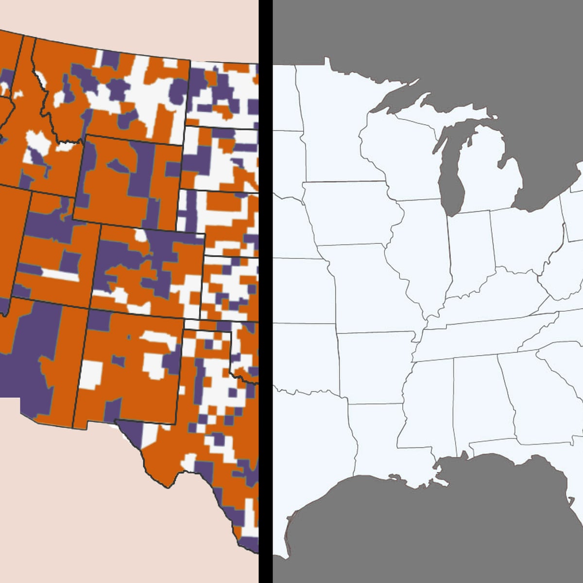 Us S Digital Divide Is Going To Kill People As Covid 19 Exposes Inequalities World News The Guardian