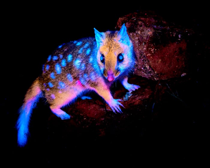Beaker Street Science Photography prize – in pictures