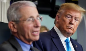 Donald Trump listens as Dr Anthony Fauci speaks during a coronavirus taskforce briefing at the White House on 7 April. 