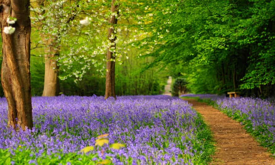 Hole Park Gardens, Kent
