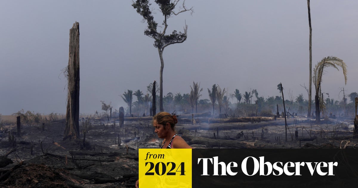 ‘Morally, nobody’s against it’: Brazil’s radical plan to tax global ...