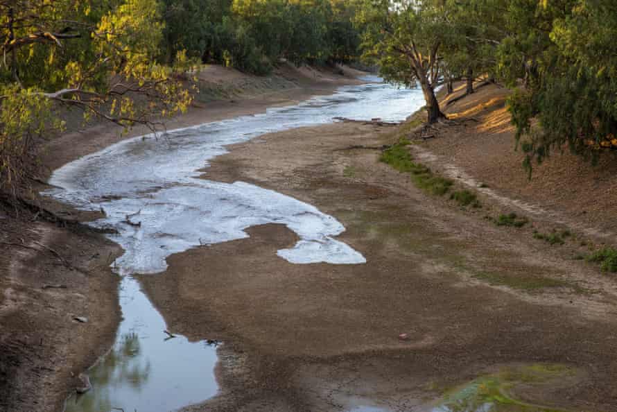 Fresh flood waters meet stagnant pools of green water in the Darling River near Louth, in NSW, in February 2020.