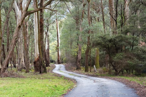 A winding road at property in Porepunkah