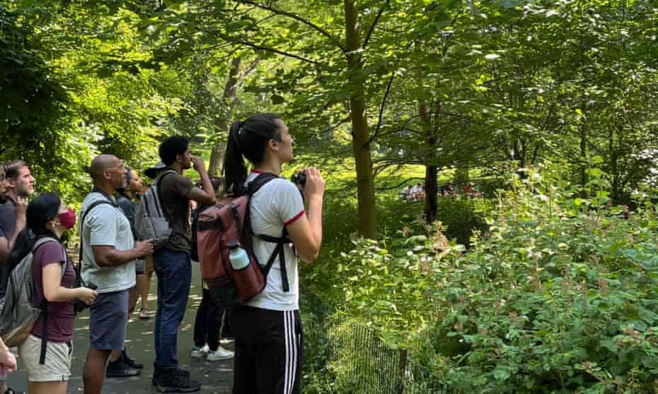 Observadores de aves en Central Park.