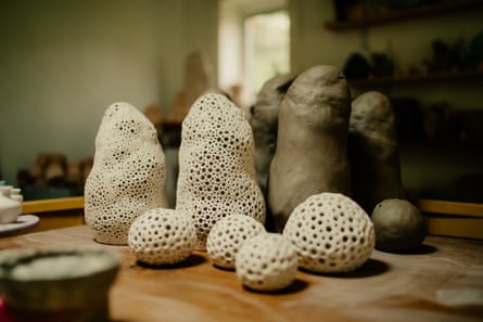 Adam Johnson’s pottery sea sponges.