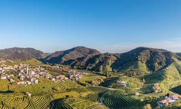 The vineyards of Veneto.