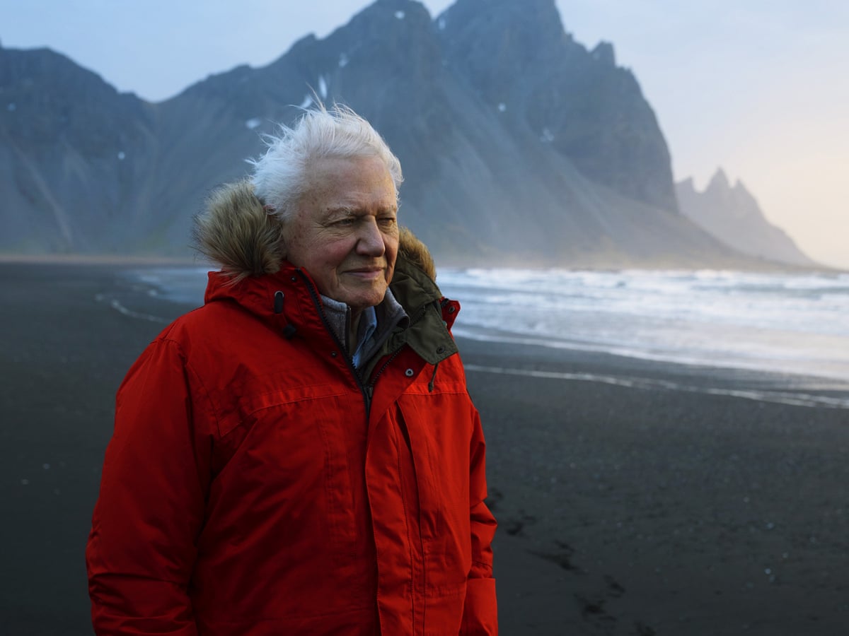 David Attenborough To Publish Witness Statement On Climate Crisis Science And Nature Books The Guardian David Attenborough To Publish Witness Statement On Climate Crisis Science And Nature Books The Guardian