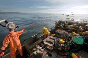 Crabbers