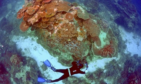 Oliver Lanyon takes photographs and notes during an inspection of the reef’s condition in an area called the ‘Coral Gardens’ located at Lady Elliot Island