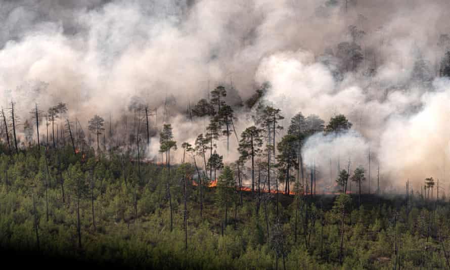 Wildfire, 2020, in the Khanty-Mansi Autonomous Area, western Siberia