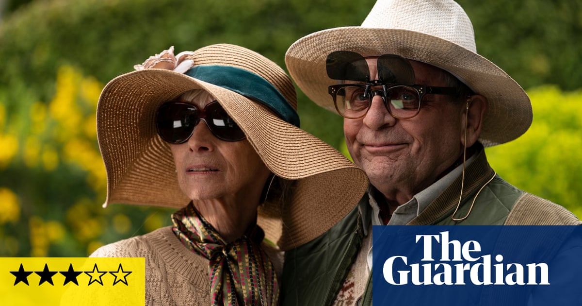 The Owners review – OAP burglars get more than they bargained for
