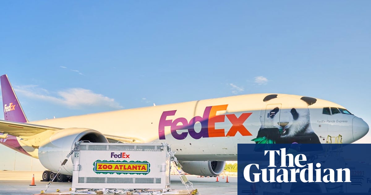 Two giant pandas arrive in Atlanta from China after Xi-Trump summit