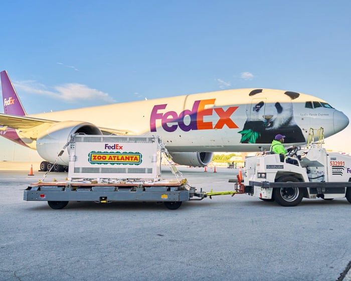 Two giant pandas arrive in Atlanta from China after Xi-Trump summit