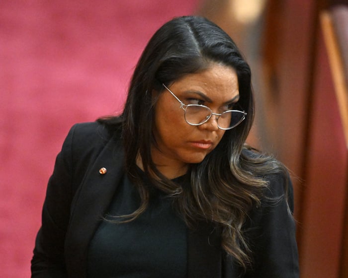 Jacinta Nampijinpa Price ‘didn’t care’ about making false claims, defamation trial told