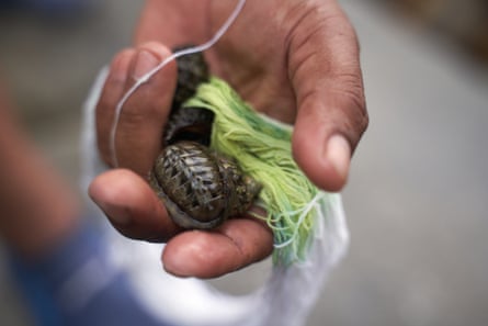 A snail with some yellow-green yarn in the palm of a hand
