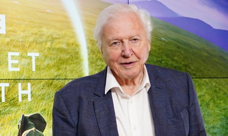 ‘Nobody can hold a candle to it’: David Attenborough backs BBC’s nature shows