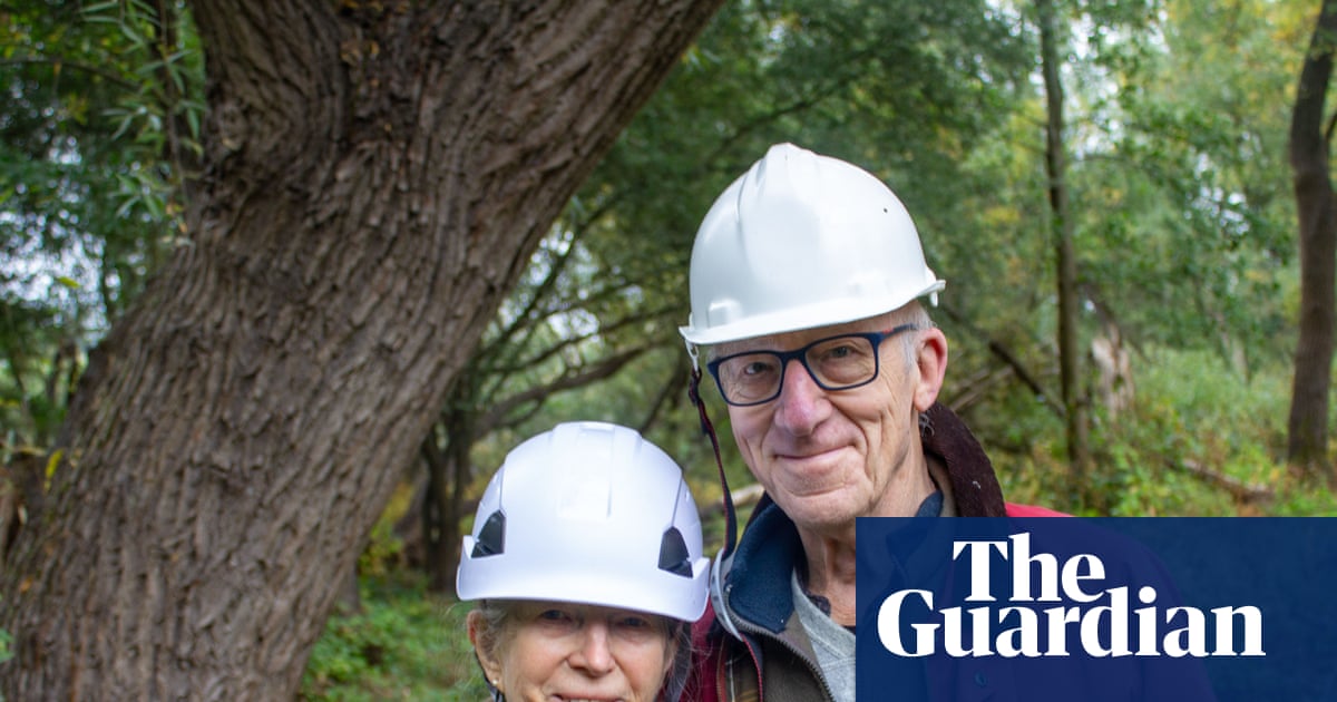 It's madness': bat enthusiasts fear planning bill will derail years of conservation
