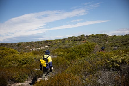 Ulusal Park gönüllüleri, Malabar Burnu, Malabar, NSW, Avustralya'da yabani otları temizleyen patika boyunca yürüyor.