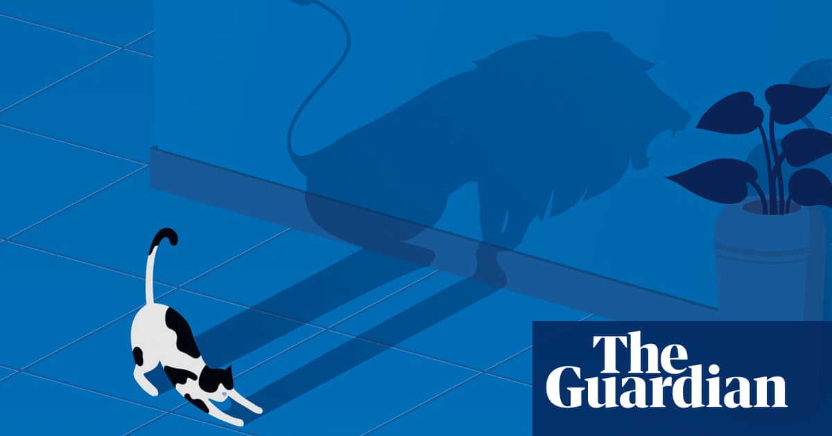 The big idea: Are cats really domesticated?
