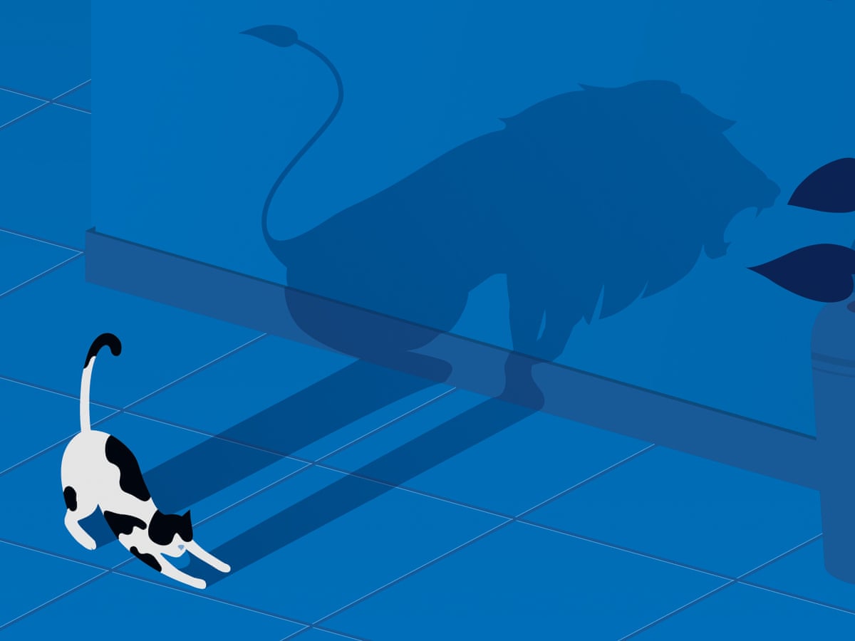 What Was Domesticated First Cats Or Dogs