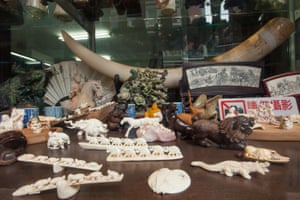 A raw elephant ivory tusk and trinkets made out of ivory are seen for sale in a shop on Hollywood Road, Central, Hong Kong. The red warning sign says ‘No photograph’.