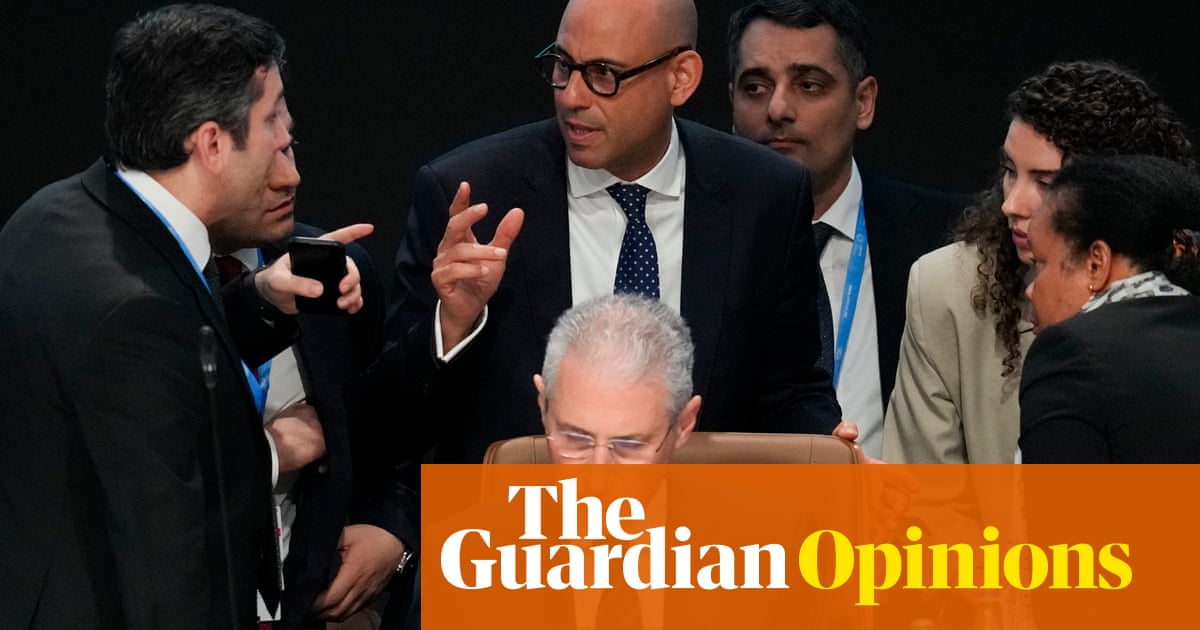 I'm glad we got a deal at Cop29 - but western nations stood in the way of a much better one | Mukhtar Babayev