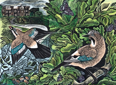 One of Angela Harding’s illustrations from Wilding.