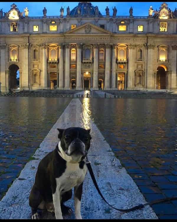 Stef’s dog Boss enjoying his holiday at the Vatican.