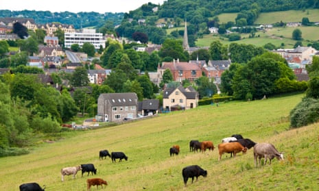 Cows grazing in a field, with Stroud, Gloucestershire, in the background