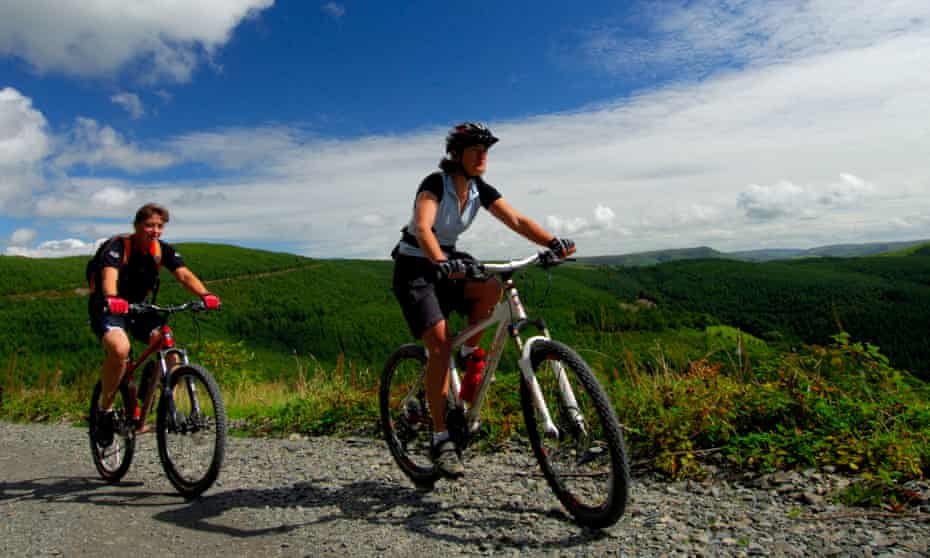 Female mountain bikers in the Dyfi forest in Powys