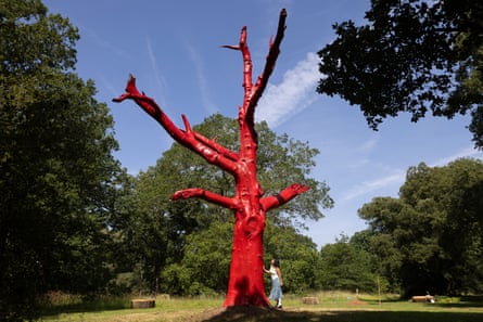 A huge, bare tree trunk and branches, painted glossy red