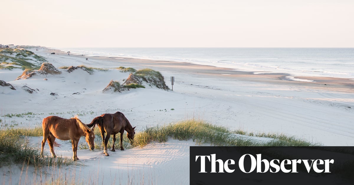North Carolina S Islands The Beauty Of The Outer Banks Travel