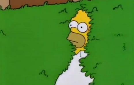 Homer Simpson backing into a hedge.