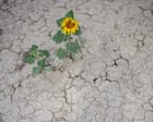 Climate Crisis Intensifies European Drought, Sucking Soils Dry