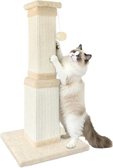 Rascador Agym para gatos grandes