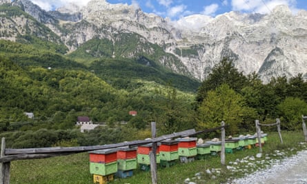 Beehives in Theth.