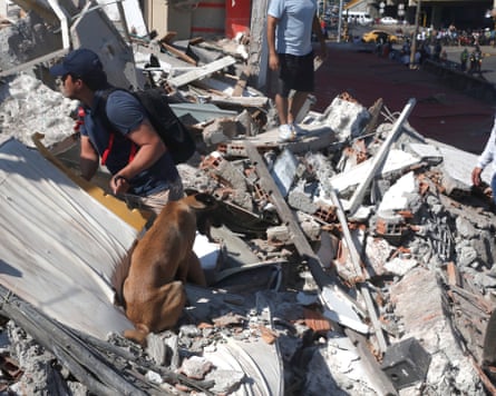 A man and his dog searching the rubble of a collapsed building