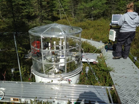 Periodic shrub, sphagnum, and peat community-level measurements of CO2 and CH4 are assessed from 1.2m-diameter in situ collars left in the experimental plots for seasonal and treatment response evaluations