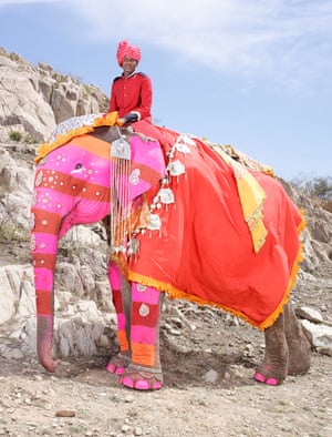 Painted Elephants India