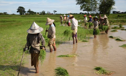 Myanmar climate migrants